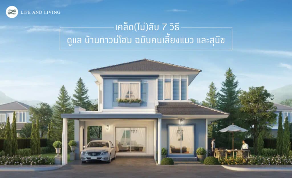 วิธีดูแล บ้านทาวน์โฮม ฉบับคนเลี้ยงแมว และสุนัข