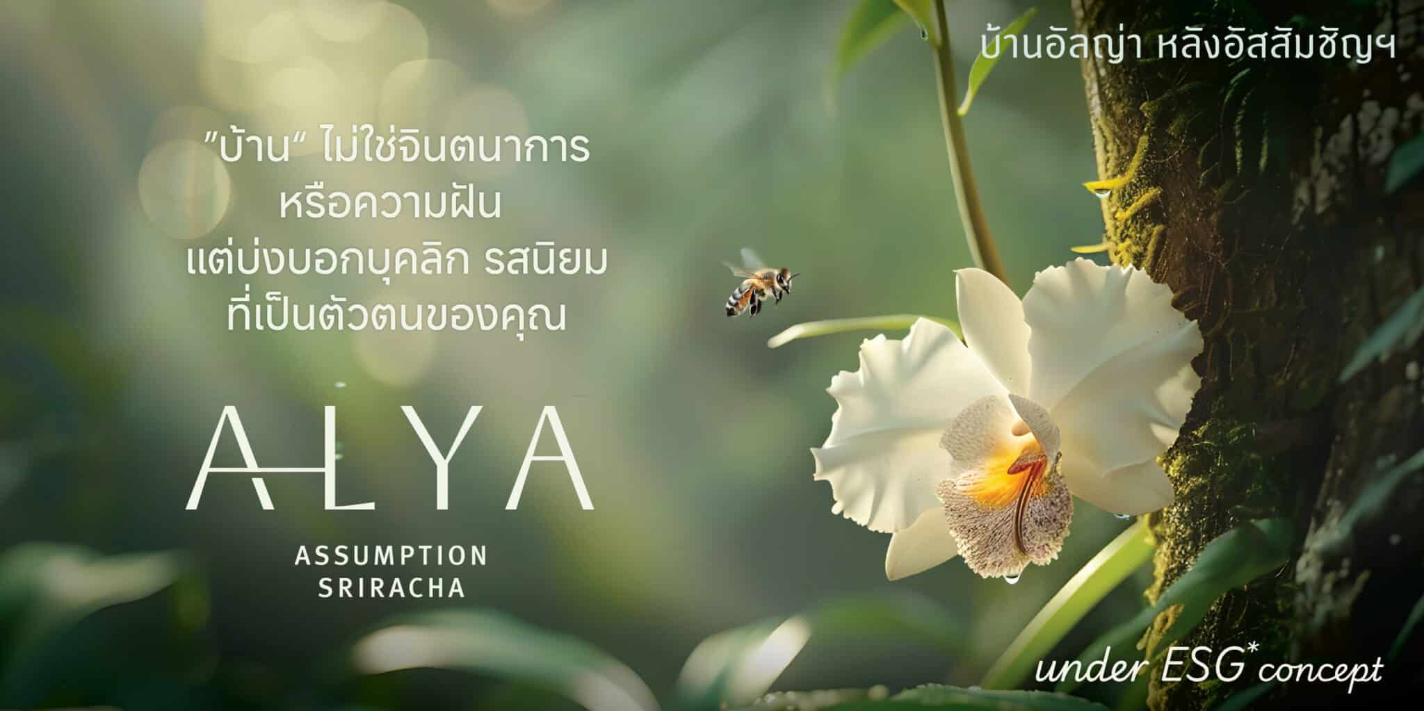 Alya หลังอัสสัม-ศรีราชา